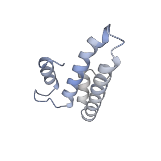 13462_7pjw_o_v1-0
Structure of the 70S-EF-G-GDP-Pi ribosome complex with tRNAs in hybrid state 2 (H2-EF-G-GDP-Pi)
