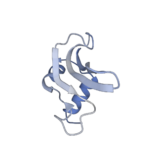 13462_7pjw_p_v1-0
Structure of the 70S-EF-G-GDP-Pi ribosome complex with tRNAs in hybrid state 2 (H2-EF-G-GDP-Pi)