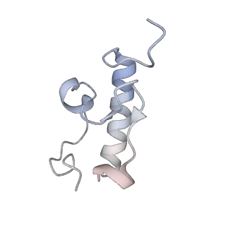 13462_7pjw_r_v1-0
Structure of the 70S-EF-G-GDP-Pi ribosome complex with tRNAs in hybrid state 2 (H2-EF-G-GDP-Pi)