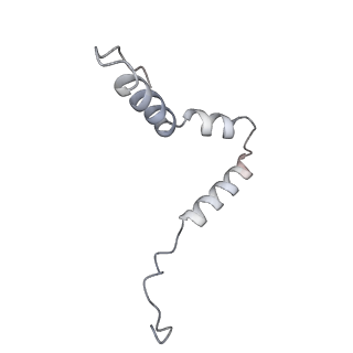 13462_7pjw_u_v1-0
Structure of the 70S-EF-G-GDP-Pi ribosome complex with tRNAs in hybrid state 2 (H2-EF-G-GDP-Pi)