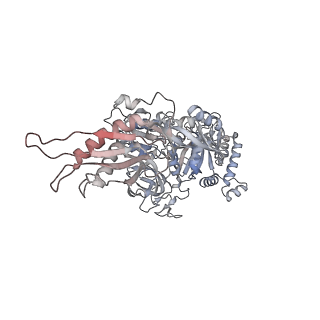 13462_7pjw_x_v1-0
Structure of the 70S-EF-G-GDP-Pi ribosome complex with tRNAs in hybrid state 2 (H2-EF-G-GDP-Pi)