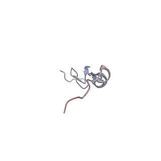 13464_7pjy_0_v1-0
Structure of the 70S-EF-G-GDP ribosome complex with tRNAs in chimeric state 1 (CHI1-EF-G-GDP)