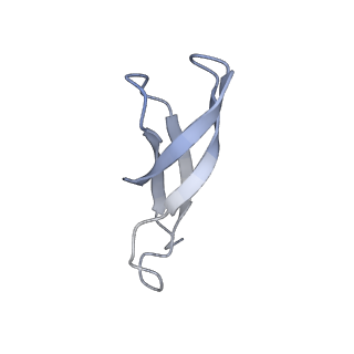 13464_7pjy_1_v1-0
Structure of the 70S-EF-G-GDP ribosome complex with tRNAs in chimeric state 1 (CHI1-EF-G-GDP)