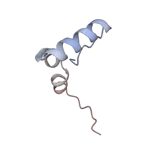 13464_7pjy_2_v1-0
Structure of the 70S-EF-G-GDP ribosome complex with tRNAs in chimeric state 1 (CHI1-EF-G-GDP)