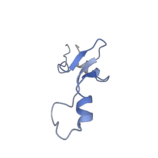13464_7pjy_3_v1-0
Structure of the 70S-EF-G-GDP ribosome complex with tRNAs in chimeric state 1 (CHI1-EF-G-GDP)