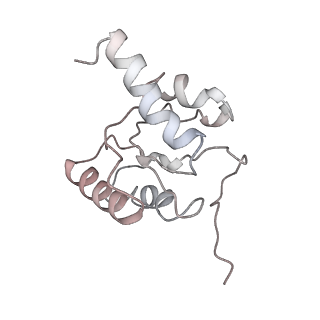 13464_7pjy_5_v1-0
Structure of the 70S-EF-G-GDP ribosome complex with tRNAs in chimeric state 1 (CHI1-EF-G-GDP)