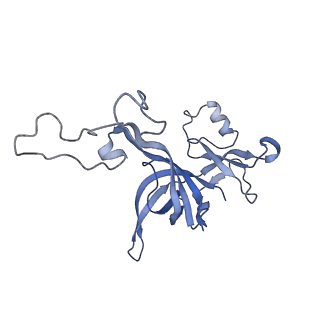 13464_7pjy_D_v1-0
Structure of the 70S-EF-G-GDP ribosome complex with tRNAs in chimeric state 1 (CHI1-EF-G-GDP)