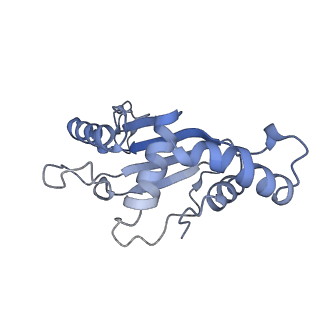 13464_7pjy_F_v1-0
Structure of the 70S-EF-G-GDP ribosome complex with tRNAs in chimeric state 1 (CHI1-EF-G-GDP)