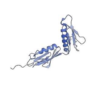 13464_7pjy_G_v1-0
Structure of the 70S-EF-G-GDP ribosome complex with tRNAs in chimeric state 1 (CHI1-EF-G-GDP)