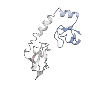 13464_7pjy_H_v1-0
Structure of the 70S-EF-G-GDP ribosome complex with tRNAs in chimeric state 1 (CHI1-EF-G-GDP)