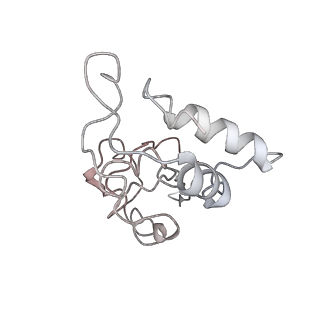 13464_7pjy_I_v1-0
Structure of the 70S-EF-G-GDP ribosome complex with tRNAs in chimeric state 1 (CHI1-EF-G-GDP)