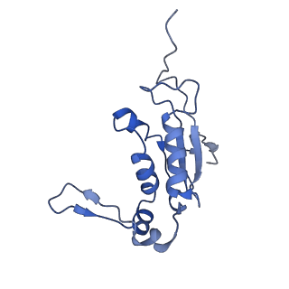 13464_7pjy_J_v1-0
Structure of the 70S-EF-G-GDP ribosome complex with tRNAs in chimeric state 1 (CHI1-EF-G-GDP)
