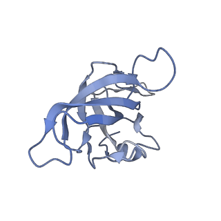 13464_7pjy_K_v1-0
Structure of the 70S-EF-G-GDP ribosome complex with tRNAs in chimeric state 1 (CHI1-EF-G-GDP)