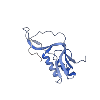 13464_7pjy_M_v1-0
Structure of the 70S-EF-G-GDP ribosome complex with tRNAs in chimeric state 1 (CHI1-EF-G-GDP)