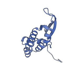 13464_7pjy_N_v1-0
Structure of the 70S-EF-G-GDP ribosome complex with tRNAs in chimeric state 1 (CHI1-EF-G-GDP)