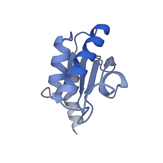 13464_7pjy_O_v1-0
Structure of the 70S-EF-G-GDP ribosome complex with tRNAs in chimeric state 1 (CHI1-EF-G-GDP)