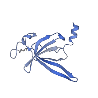13464_7pjy_P_v1-0
Structure of the 70S-EF-G-GDP ribosome complex with tRNAs in chimeric state 1 (CHI1-EF-G-GDP)