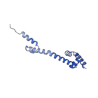 13464_7pjy_Q_v1-0
Structure of the 70S-EF-G-GDP ribosome complex with tRNAs in chimeric state 1 (CHI1-EF-G-GDP)