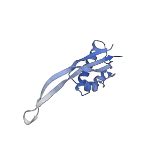 13464_7pjy_S_v1-0
Structure of the 70S-EF-G-GDP ribosome complex with tRNAs in chimeric state 1 (CHI1-EF-G-GDP)