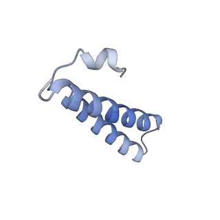 13464_7pjy_Y_v1-0
Structure of the 70S-EF-G-GDP ribosome complex with tRNAs in chimeric state 1 (CHI1-EF-G-GDP)