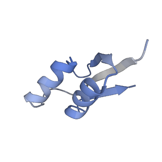 13464_7pjy_Z_v1-0
Structure of the 70S-EF-G-GDP ribosome complex with tRNAs in chimeric state 1 (CHI1-EF-G-GDP)