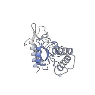 13464_7pjy_b_v1-0
Structure of the 70S-EF-G-GDP ribosome complex with tRNAs in chimeric state 1 (CHI1-EF-G-GDP)