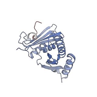 13464_7pjy_c_v1-0
Structure of the 70S-EF-G-GDP ribosome complex with tRNAs in chimeric state 1 (CHI1-EF-G-GDP)