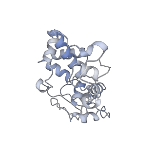 13464_7pjy_d_v1-0
Structure of the 70S-EF-G-GDP ribosome complex with tRNAs in chimeric state 1 (CHI1-EF-G-GDP)