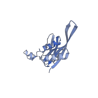 13464_7pjy_e_v1-0
Structure of the 70S-EF-G-GDP ribosome complex with tRNAs in chimeric state 1 (CHI1-EF-G-GDP)