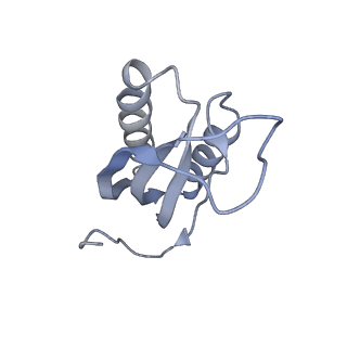 13464_7pjy_f_v1-0
Structure of the 70S-EF-G-GDP ribosome complex with tRNAs in chimeric state 1 (CHI1-EF-G-GDP)