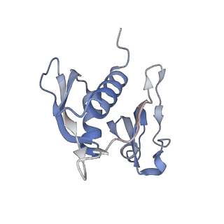 13464_7pjy_h_v1-0
Structure of the 70S-EF-G-GDP ribosome complex with tRNAs in chimeric state 1 (CHI1-EF-G-GDP)