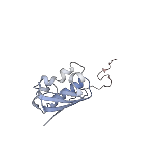 13464_7pjy_i_v1-0
Structure of the 70S-EF-G-GDP ribosome complex with tRNAs in chimeric state 1 (CHI1-EF-G-GDP)