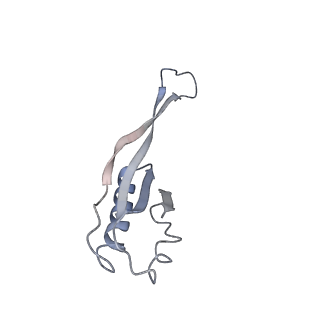 13464_7pjy_j_v1-0
Structure of the 70S-EF-G-GDP ribosome complex with tRNAs in chimeric state 1 (CHI1-EF-G-GDP)