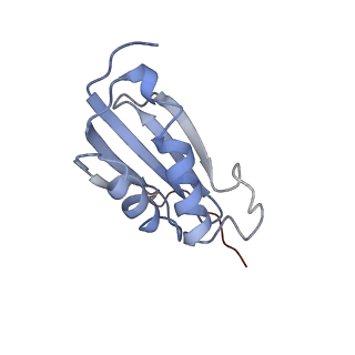 13464_7pjy_k_v1-0
Structure of the 70S-EF-G-GDP ribosome complex with tRNAs in chimeric state 1 (CHI1-EF-G-GDP)
