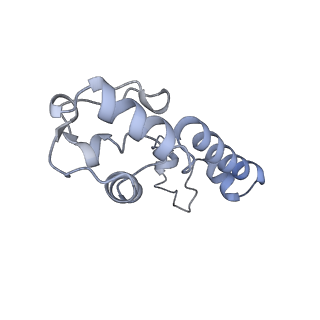 13464_7pjy_m_v1-0
Structure of the 70S-EF-G-GDP ribosome complex with tRNAs in chimeric state 1 (CHI1-EF-G-GDP)