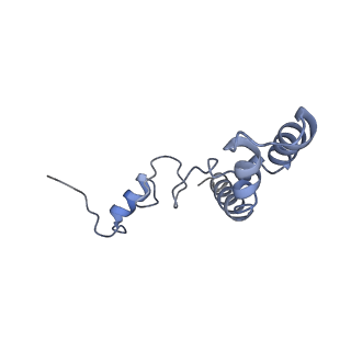13464_7pjy_n_v1-0
Structure of the 70S-EF-G-GDP ribosome complex with tRNAs in chimeric state 1 (CHI1-EF-G-GDP)