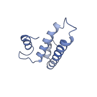 13464_7pjy_o_v1-0
Structure of the 70S-EF-G-GDP ribosome complex with tRNAs in chimeric state 1 (CHI1-EF-G-GDP)