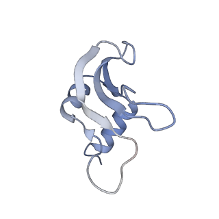 13464_7pjy_p_v1-0
Structure of the 70S-EF-G-GDP ribosome complex with tRNAs in chimeric state 1 (CHI1-EF-G-GDP)