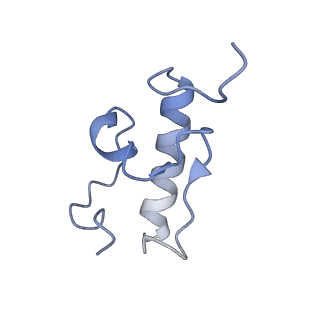 13464_7pjy_r_v1-0
Structure of the 70S-EF-G-GDP ribosome complex with tRNAs in chimeric state 1 (CHI1-EF-G-GDP)