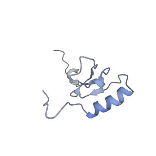 13464_7pjy_s_v1-0
Structure of the 70S-EF-G-GDP ribosome complex with tRNAs in chimeric state 1 (CHI1-EF-G-GDP)