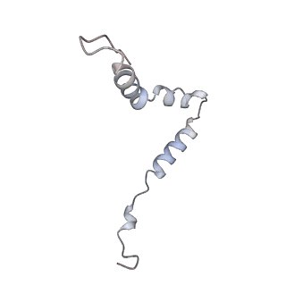 13464_7pjy_u_v1-0
Structure of the 70S-EF-G-GDP ribosome complex with tRNAs in chimeric state 1 (CHI1-EF-G-GDP)