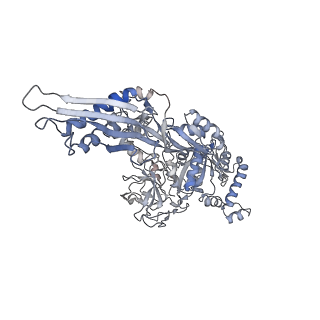 13464_7pjy_x_v1-0
Structure of the 70S-EF-G-GDP ribosome complex with tRNAs in chimeric state 1 (CHI1-EF-G-GDP)