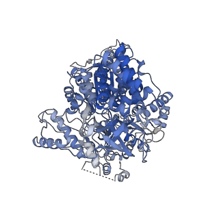 17703_8pjb_A_v1-0
Cryo-EM structure of MLE in complex with UUC RNA and ADP
