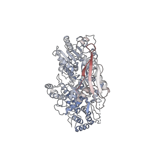 17711_8pjj_A_v1-0
Cryo-EM structure of MLE in complex with SL7UUC RNA and ADP