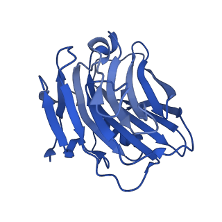 13456_7pk9_A_v1-1
C-reactive protein decamer at pH 7.5