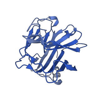 13456_7pk9_B_v1-1
C-reactive protein decamer at pH 7.5
