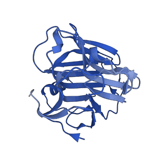 13456_7pk9_E_v1-1
C-reactive protein decamer at pH 7.5
