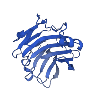 13456_7pk9_G_v1-1
C-reactive protein decamer at pH 7.5