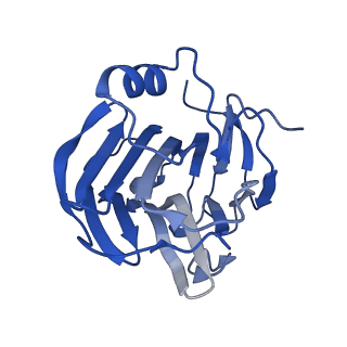 13456_7pk9_J_v1-1
C-reactive protein decamer at pH 7.5