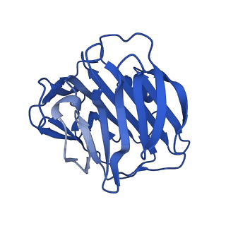 13467_7pkb_A_v1-1
C-reactive protein pentamer at pH 7.5
